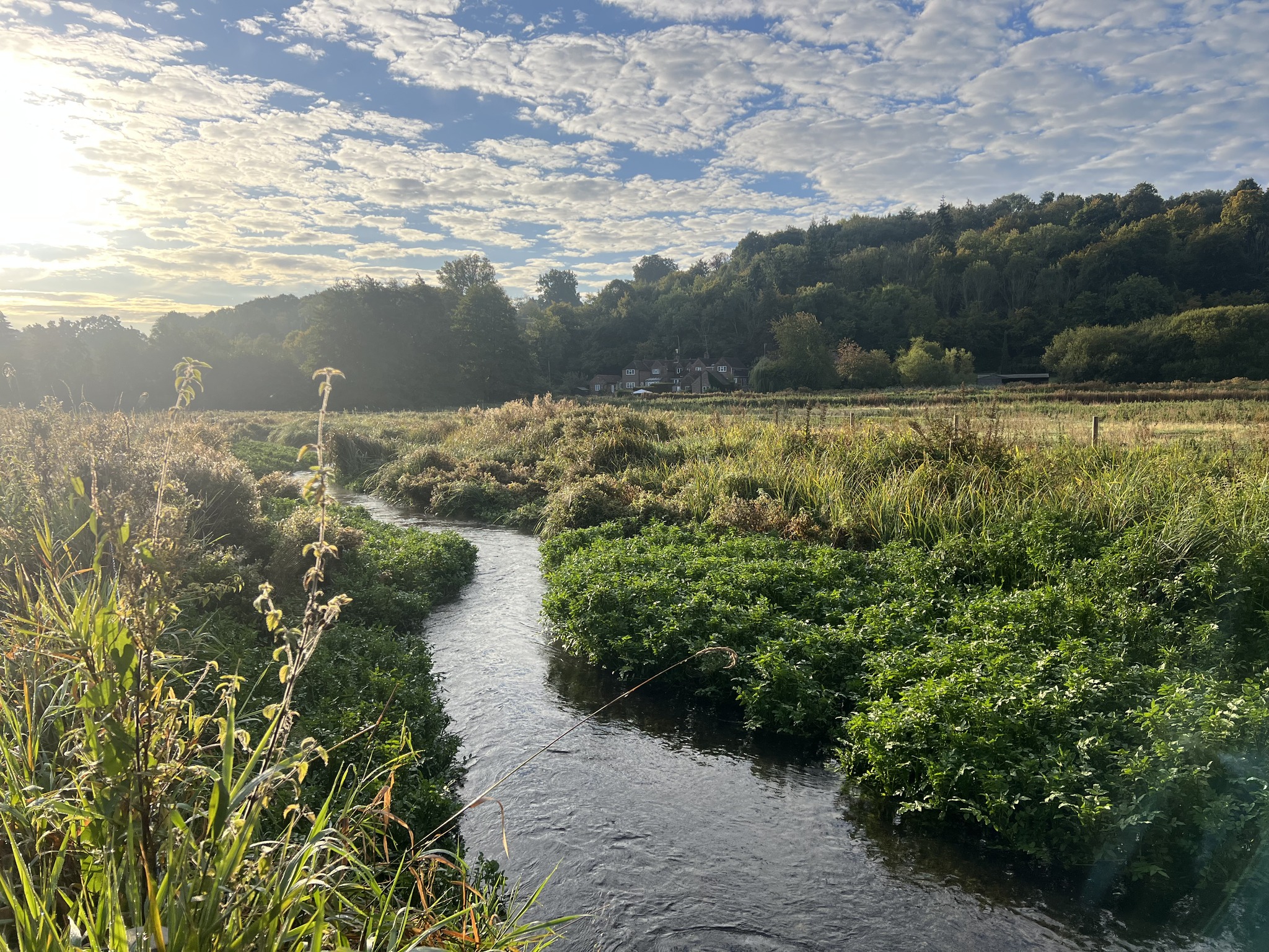 The River Chess winding through the Chess Valley at dawn